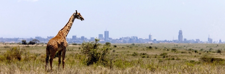 Detektei in Afrika seit 1995 im Einsatz: Lentz & Co. GmbH