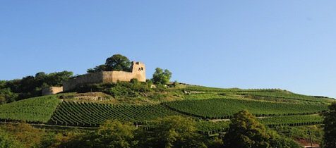 Detektei in Kenzingen im Einsatz seit 1995 mit Detektiven in Festanstellung - keine Subunternehmer!
