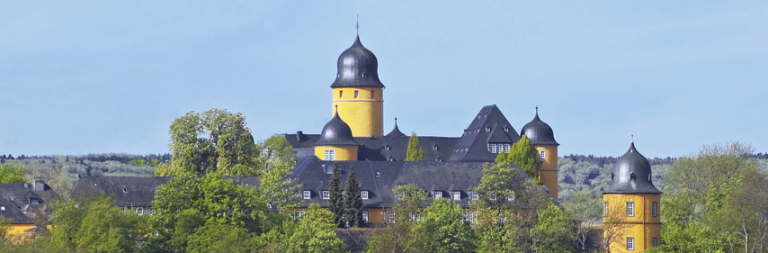 Detektei in Montabaur im Einsatz seit 1995 mit Detektiven in Festanstellung - keine Subunternehmer!