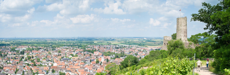 Detektei in Odenwald im Einsatz seit 1995 mit Detektiven in Festanstellung - keine Subunternehmer!