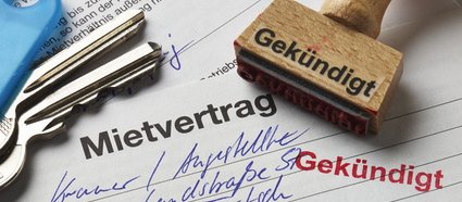 Hohe finanzielle Einbuße durch Mietnomaden und Mietbetrug in Hamburg