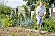 Bild: Zielperson-bei-der-Gartenarbeit-ohne-Gehhilfe