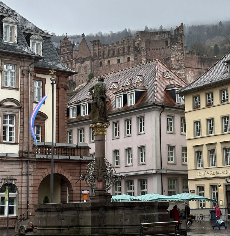 Detektei Heidelberg | Detektiv Heidelberg seit 1995 vor Ort