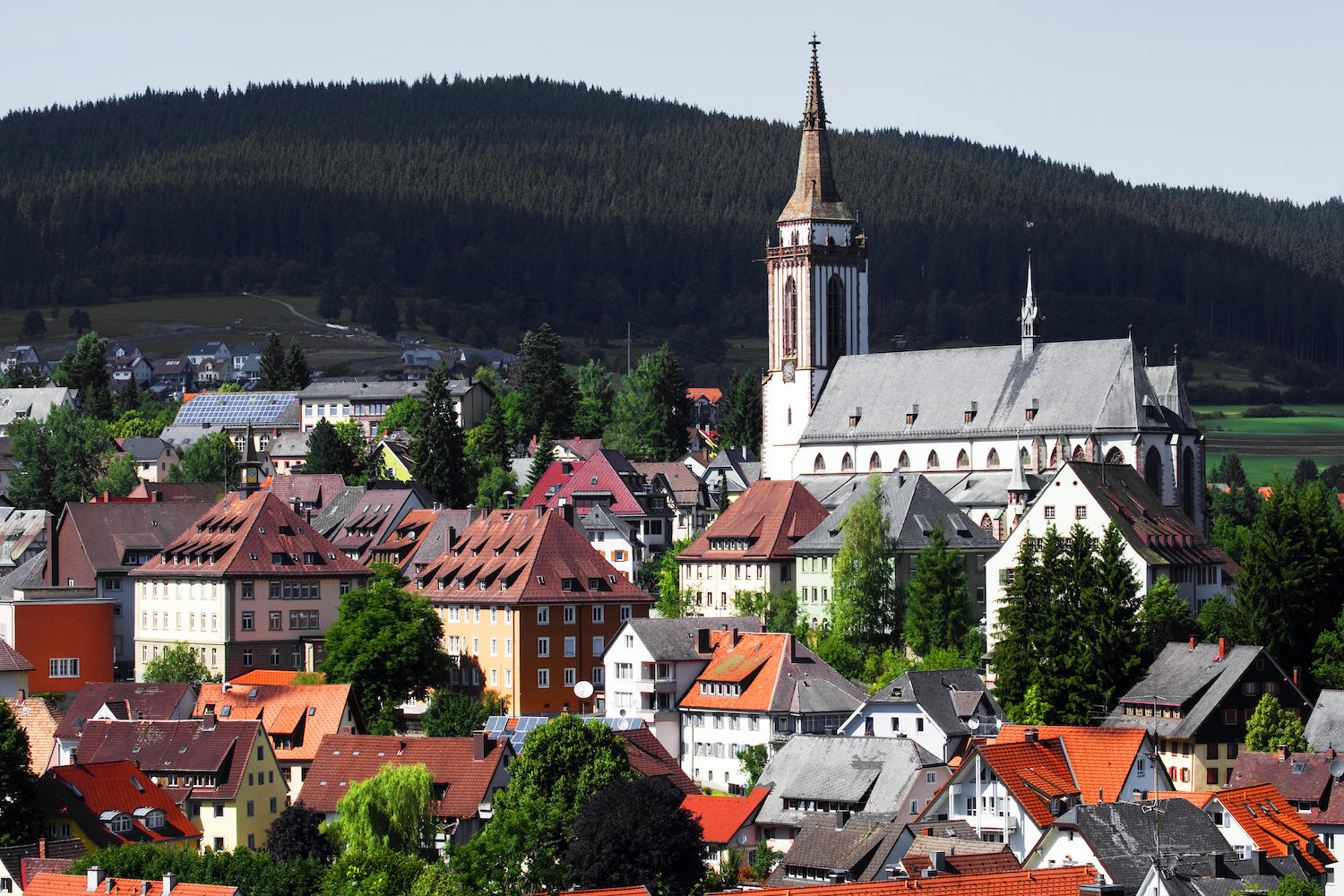 Detektei in Titisee im Einsatz seit 1995 mit Detektiven in Festanstellung - keine Subunternehmer!